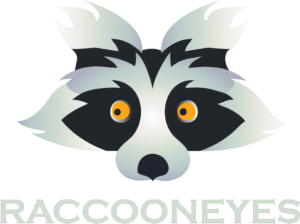 raccoon eyes digital marketing company